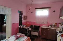 Casa in Haieu, suprafata teren 525 mp