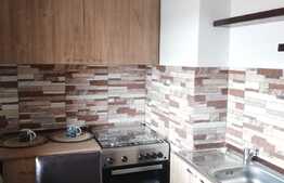 Apartament de inchiriat, cu o camera pe Magheru