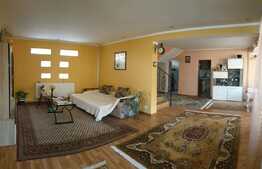 Casă de 160 mp, 506 teren, în Oncea