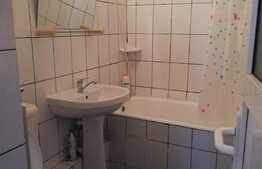 Apartament de 2 camere, de inchiriat in Cantemir 