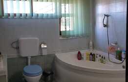 Casă de 4 camere în centru, Sînmartin