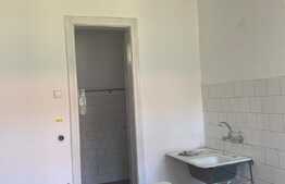 Oportunitate! Casă de vânzare zona Crișul, 120 mp utili, teren de 370 mp