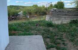 Casa cu vedere catre lac in zona Hanul Pescarilor, 237 mp utili, teren de 1000 mp 