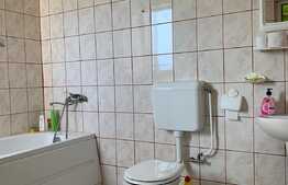 Casa cu vedere catre lac in zona Hanul Pescarilor, 237 mp utili, teren de 1000 mp 