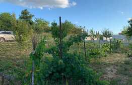 Casa cu vedere catre lac in zona Hanul Pescarilor, 237 mp utili, teren de 1000 mp 