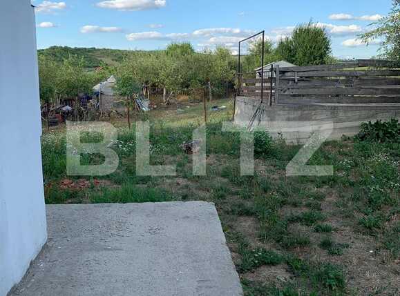 Casa de vânzare 3 camere Dealuri Oradea - 69230CV | BLITZ Oradea | Poza4