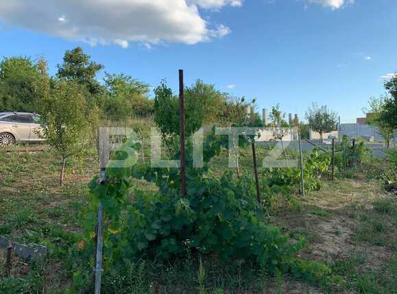 Casa de vânzare 3 camere Dealuri Oradea - 69230CV | BLITZ Oradea | Poza9