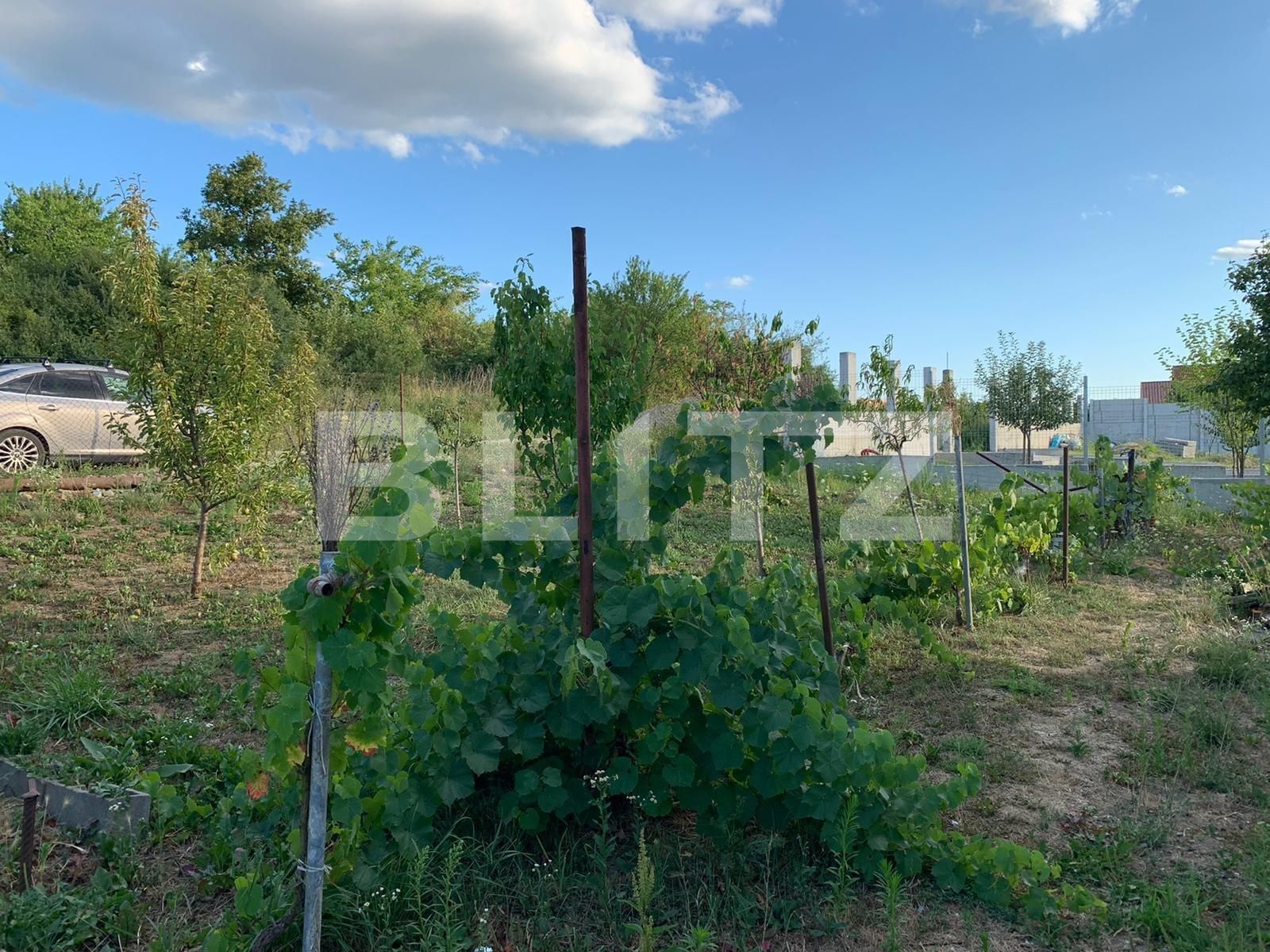 Casa de vânzare 3 camere Dealuri Oradea - 69230CV | BLITZ Oradea | Poza9