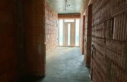 Casă la roșu 7 camere 280 mp, 1000 mp teren în zona Episcopia