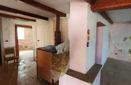 Casă pe un nivel, 149 mp, 916 mp teren, în Episcopia