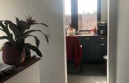 Casă pe un nivel, 149 mp, 916 mp teren, în Episcopia