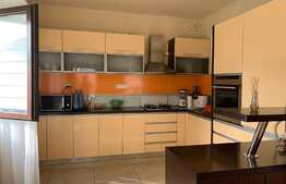 Casă cu etaj, zona Grigorescu, 274 mp utili, teren de 490 mp