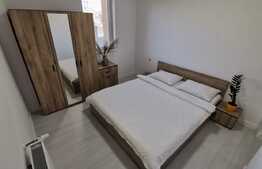 Vilă spațioasă, 372 mp utili, teren de 747 mp, în zona Oncea