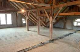 Vilă spațioasă, 372 mp utili, teren de 747 mp, în zona Oncea