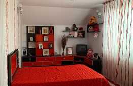 Vilă spațioasă, 372 mp utili, teren de 747 mp, în zona Oncea