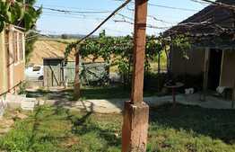 Casă cu teren de 2650 mp în Podgoria