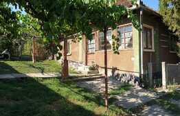 Casă cu teren de 2650 mp în Podgoria