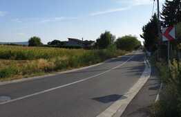 Casă cu teren de 2650 mp în Podgoria