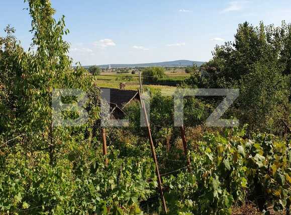 Casa de vânzare 3 camere Podgoria - 69607CV | BLITZ Oradea | Poza3