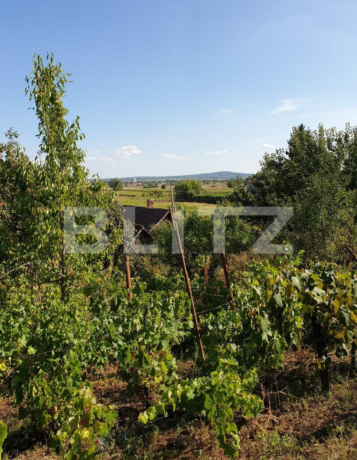 Casa de vânzare 3 camere Podgoria - 69607CV | BLITZ Oradea | Poza3