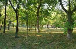 Casă la 12 km de Oradea în Husasău de Criș