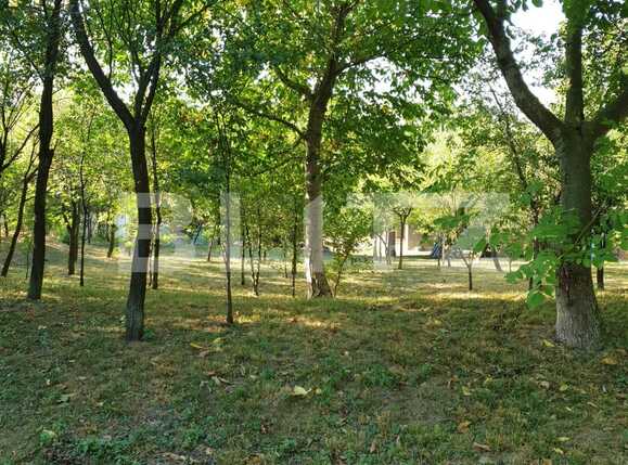 Casa de vânzare 2 camere Periferie - 69623CV | BLITZ Oradea | Poza6