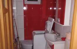 Apartament cu 3 camere, de inchiriat in zona Decebal ! 