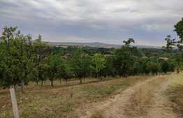 Teren Facliei 1377 mp intravilan