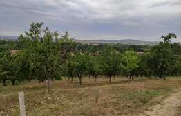 Teren Facliei 1377 mp intravilan