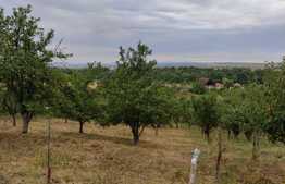 Teren Facliei 1377 mp intravilan