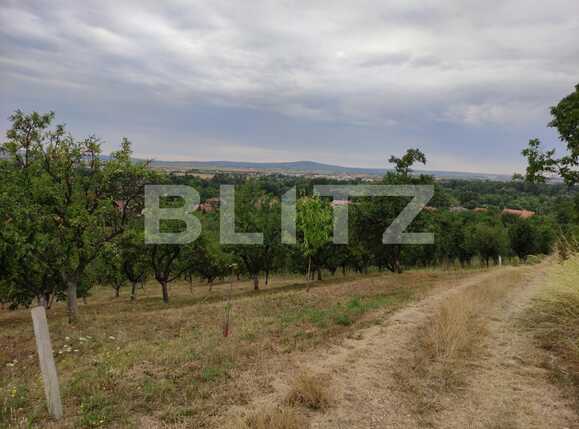 Teren de vânzare Podgoria - 69651TV | BLITZ Oradea | Poza6