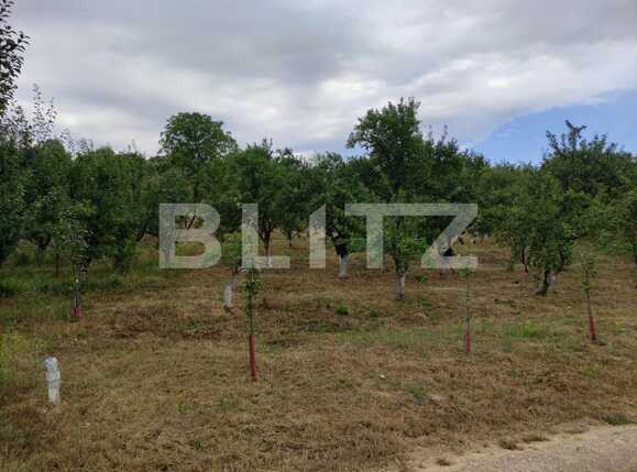 Teren de vânzare Podgoria - 69651TV | BLITZ Oradea | Poza7