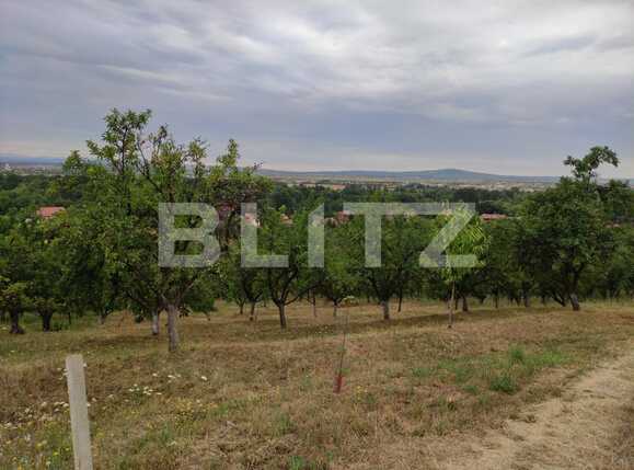 Teren de vânzare Podgoria - 69651TV | BLITZ Oradea | Poza4