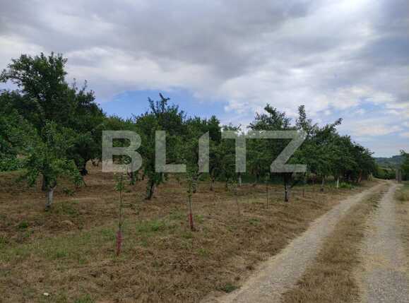 Teren de vânzare Podgoria - 69651TV | BLITZ Oradea | Poza1
