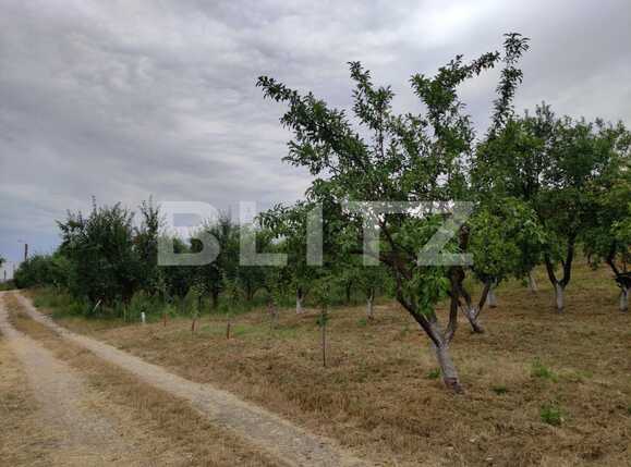 Teren de vânzare Podgoria - 69651TV | BLITZ Oradea | Poza5