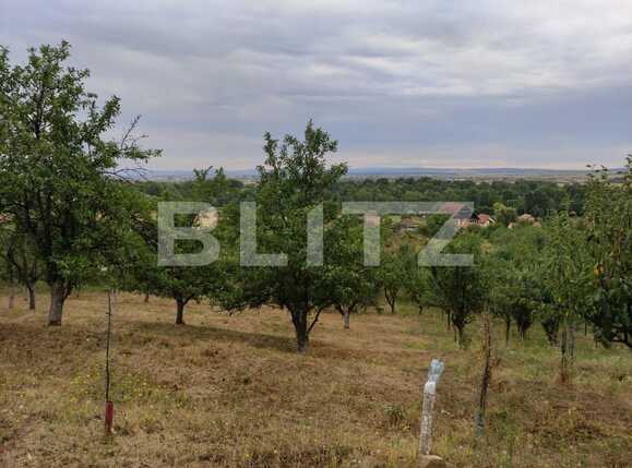 Teren de vânzare Podgoria - 69651TV | BLITZ Oradea | Poza2