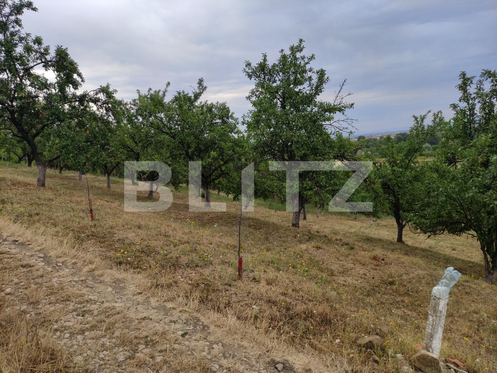 Teren de vânzare Podgoria - 69651TV | BLITZ Oradea | Poza8