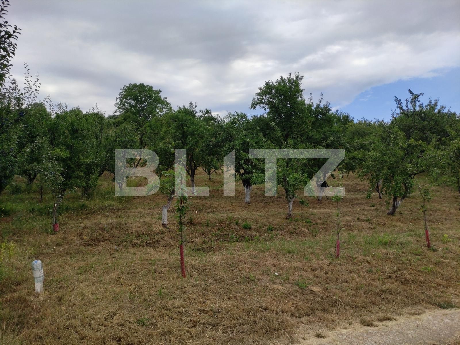 Teren de vânzare Podgoria - 69651TV | BLITZ Oradea | Poza7