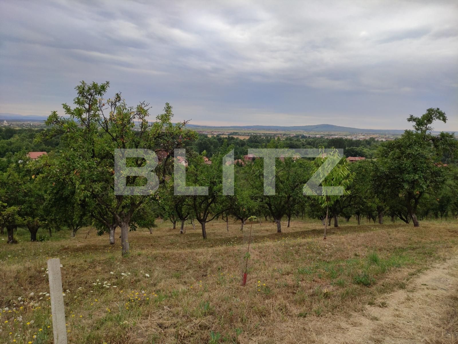 Teren de vânzare Podgoria - 69651TV | BLITZ Oradea | Poza4