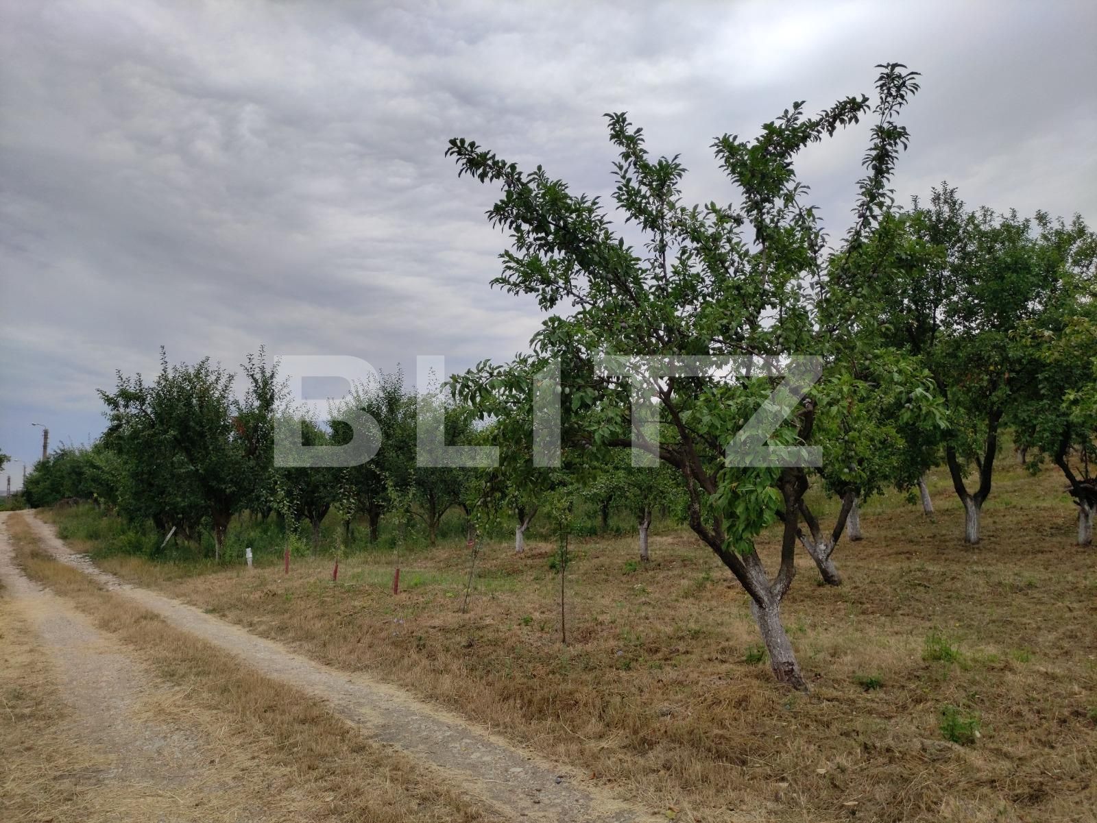 Teren de vânzare Podgoria - 69651TV | BLITZ Oradea | Poza5