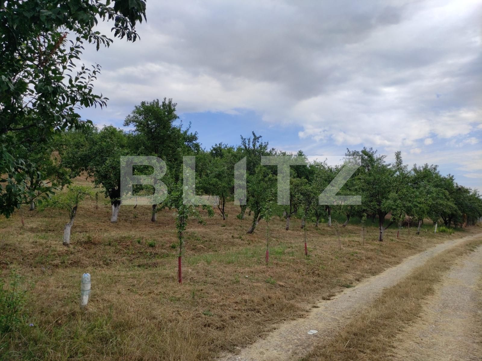 Teren de vânzare Podgoria - 69651TV | BLITZ Oradea | Poza3