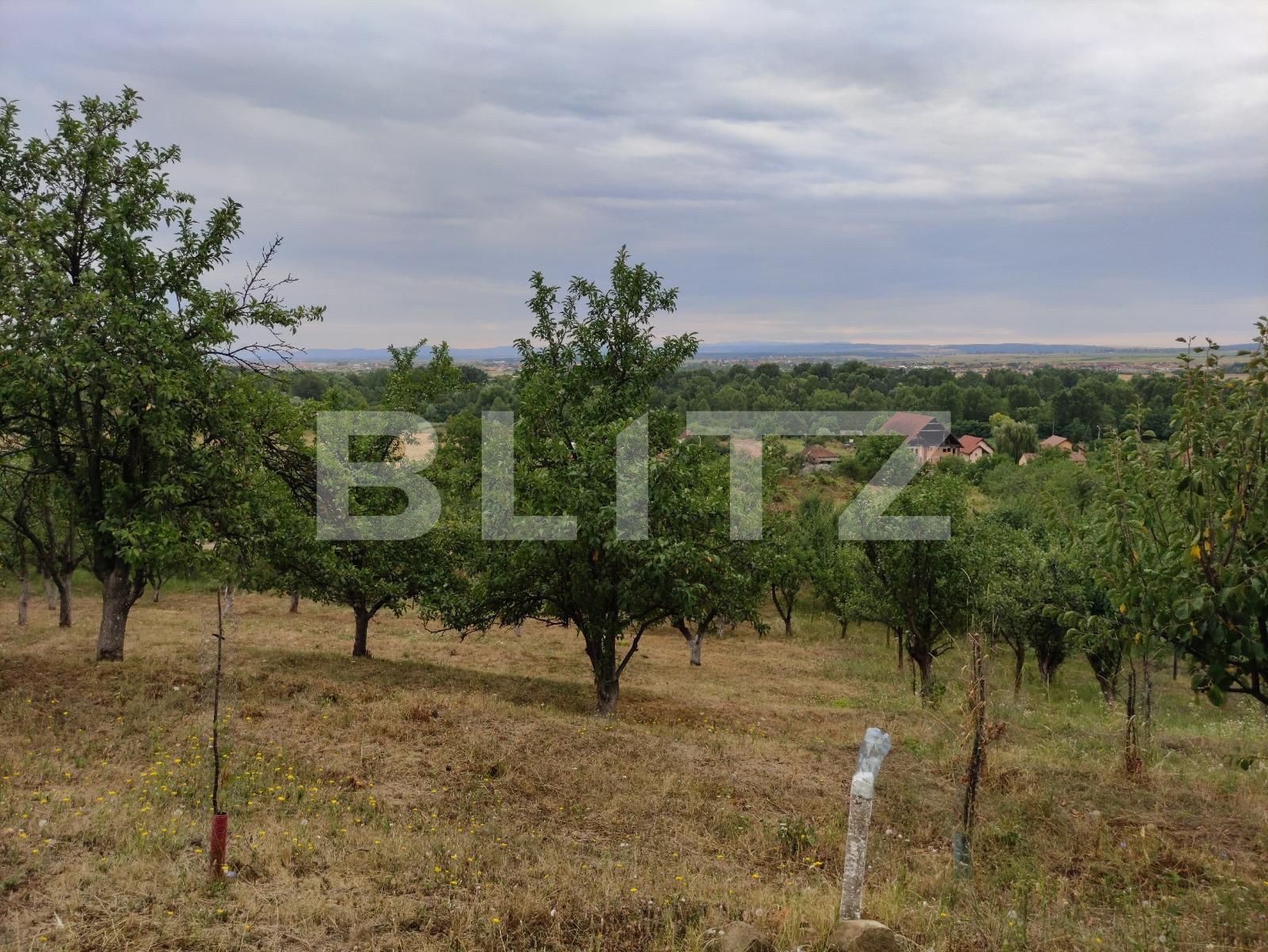 Teren de vânzare Podgoria - 69651TV | BLITZ Oradea | Poza2