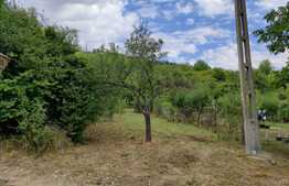 Teren Podgoria 1211 mp intravilan 