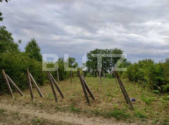 Teren de vânzare Podgoria - 69664TV | BLITZ Oradea | Poza4
