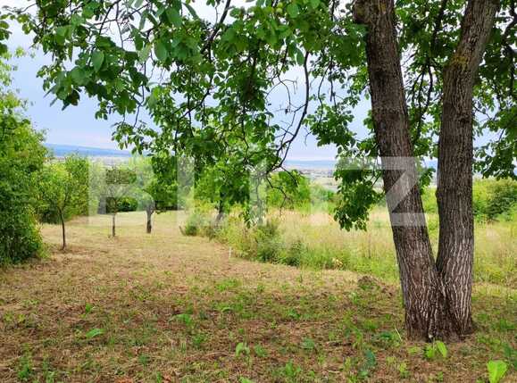 Teren de vânzare Podgoria - 69664TV | BLITZ Oradea | Poza1