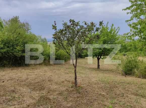 Teren de vânzare Podgoria - 69664TV | BLITZ Oradea | Poza2