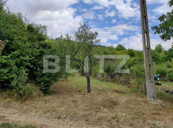 Teren de vânzare Podgoria - 69664TV | BLITZ Oradea | Poza3