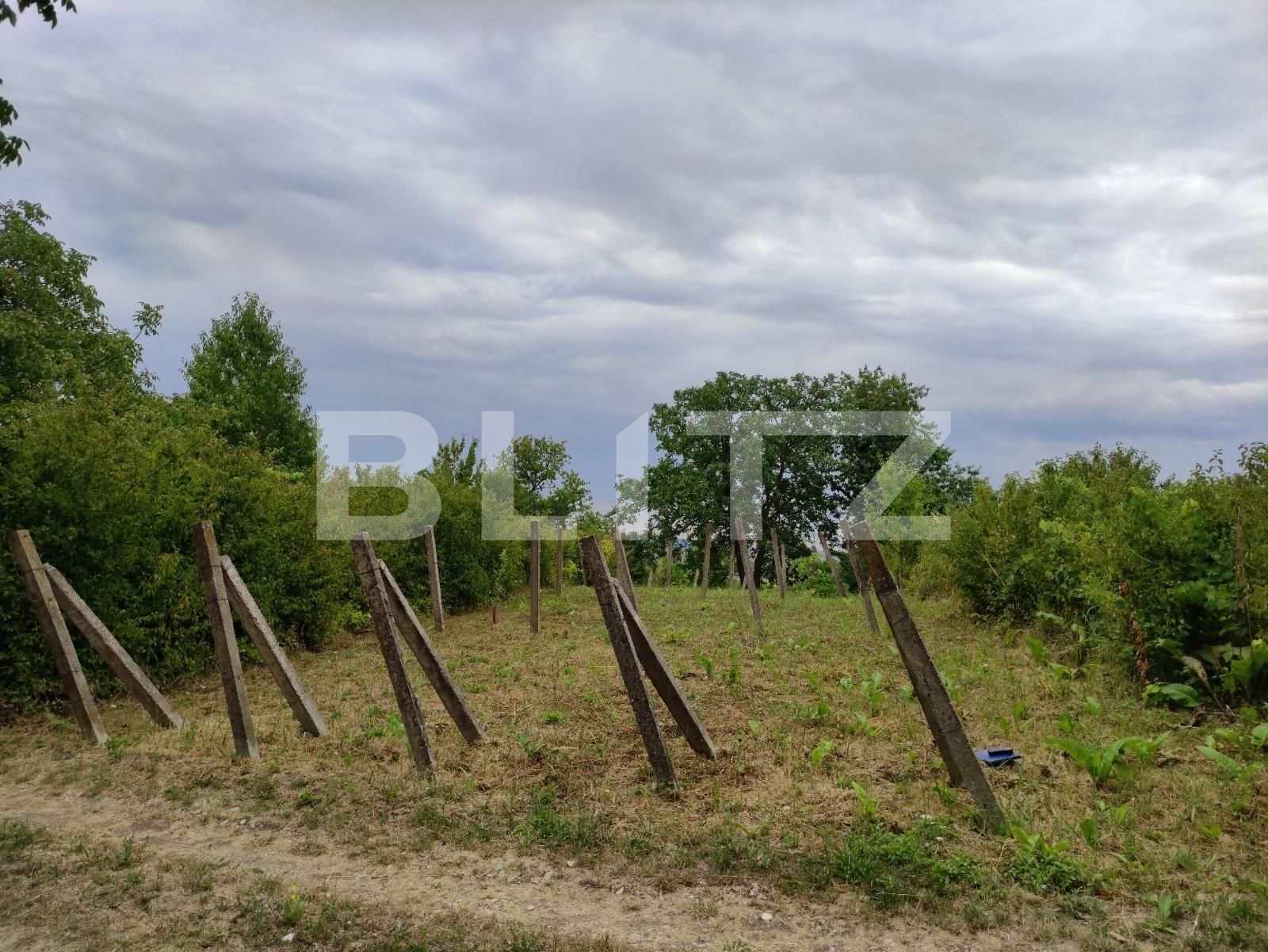 Teren de vânzare Podgoria - 69664TV | BLITZ Oradea | Poza4