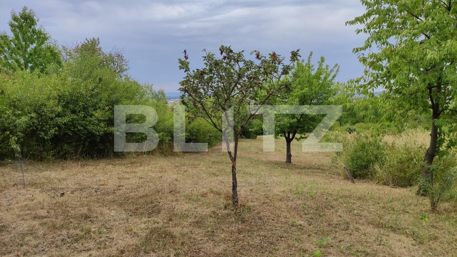 Teren de vânzare Podgoria - 69664TV | BLITZ Oradea | Poza2