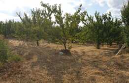 Parcelă de 670 mp zona Gheorghe Doja